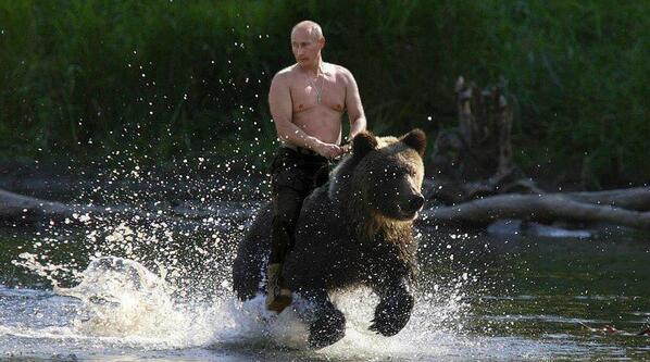 Vladimir Putin, shirtless, riding a bear